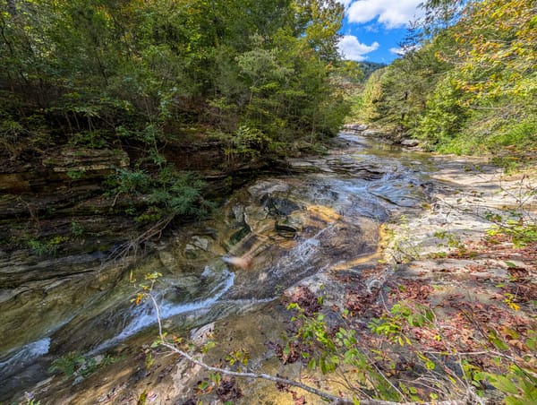 There's Treasure Inside